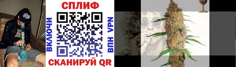 хочу наркоту  Абдулино  Конопля гибрид 